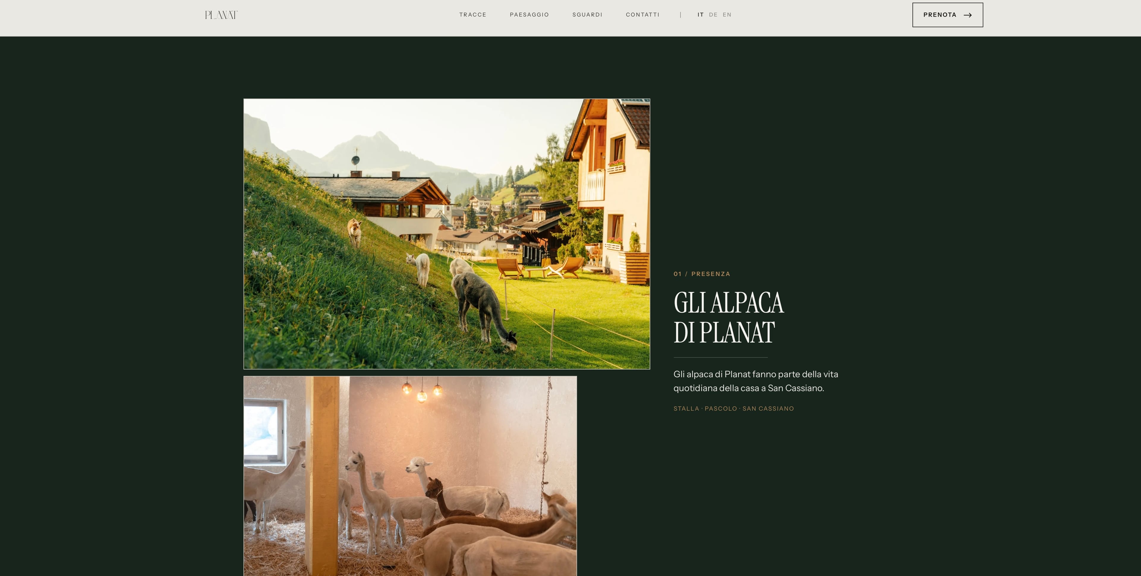 Planat website designed and developed by Luca Canins