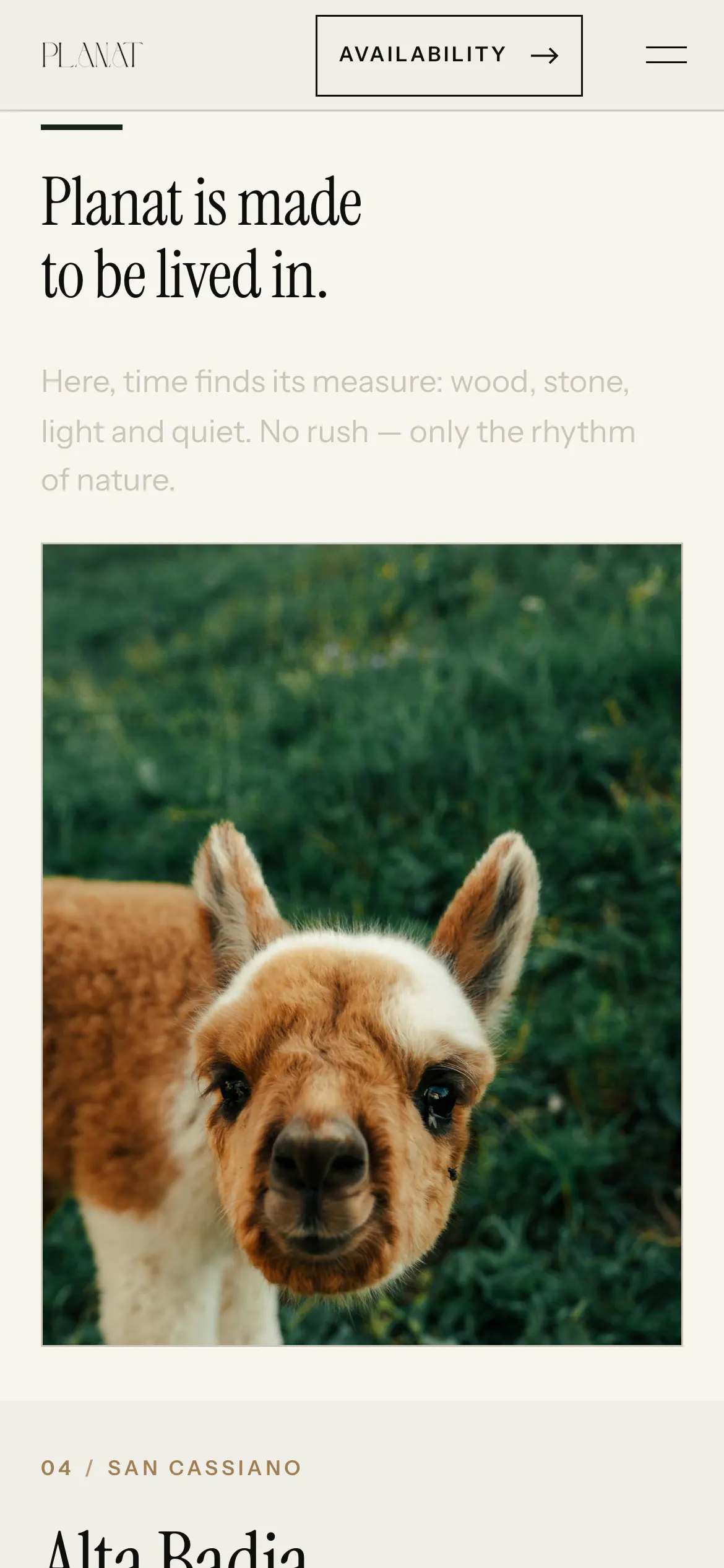 planat.it on a phone: “Planat is made to be lived in.” and an alpaca up close