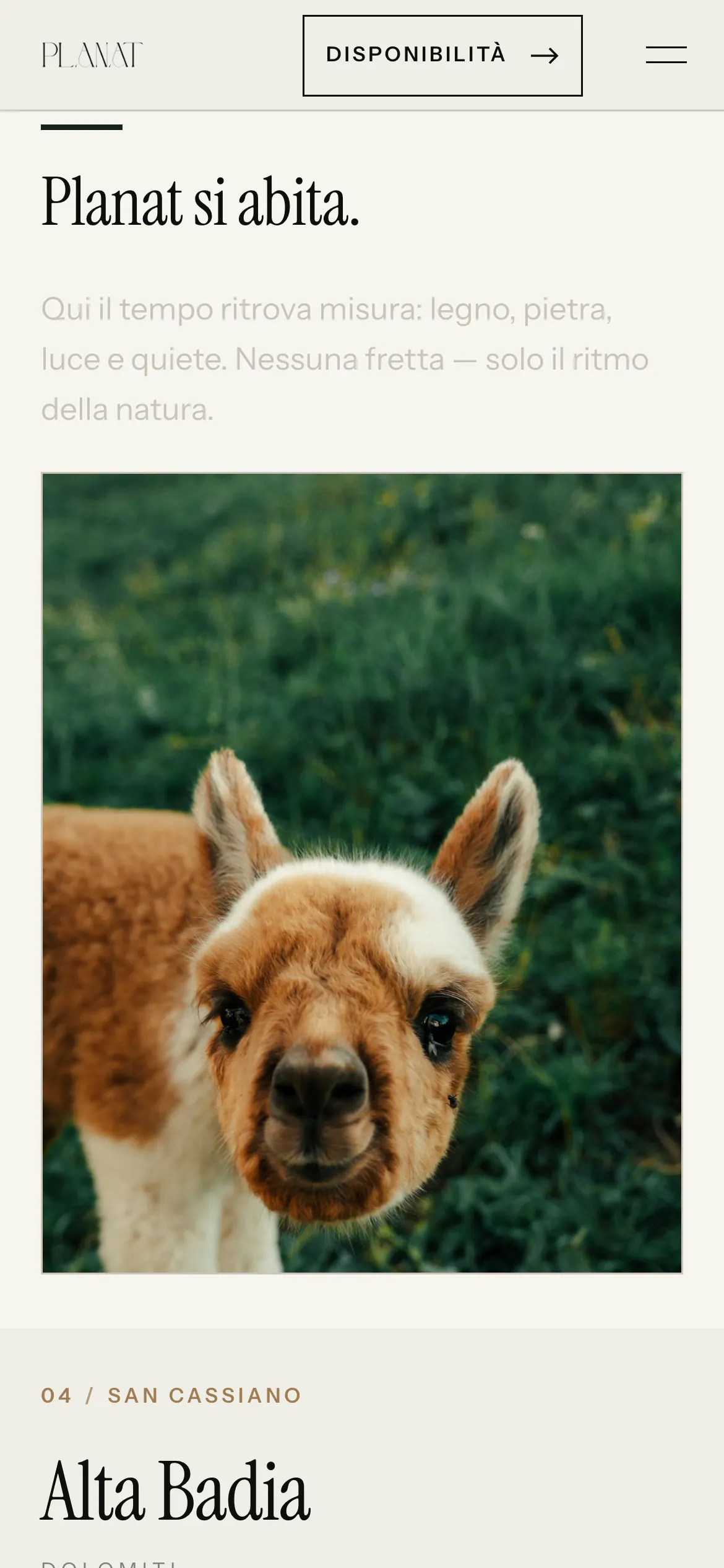 planat.it su telefono: “Planat si abita.” e un alpaca da vicino