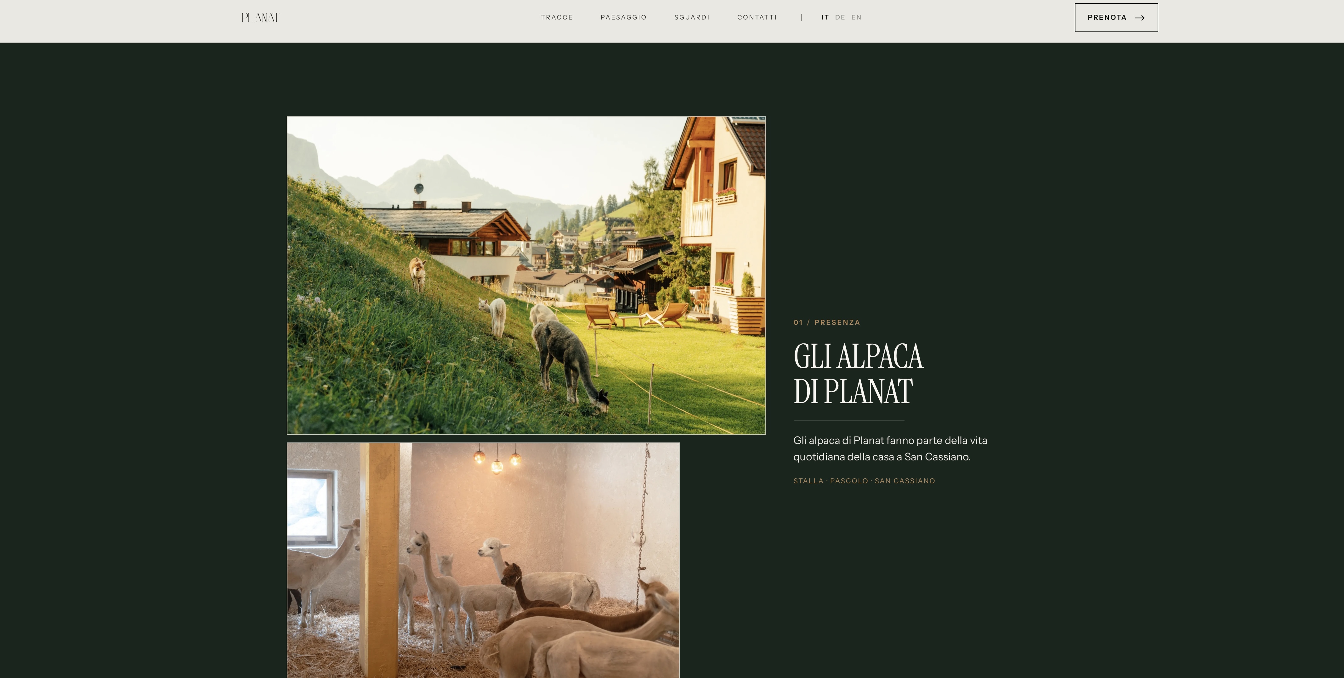 Planat website designed and developed by Luca Canins