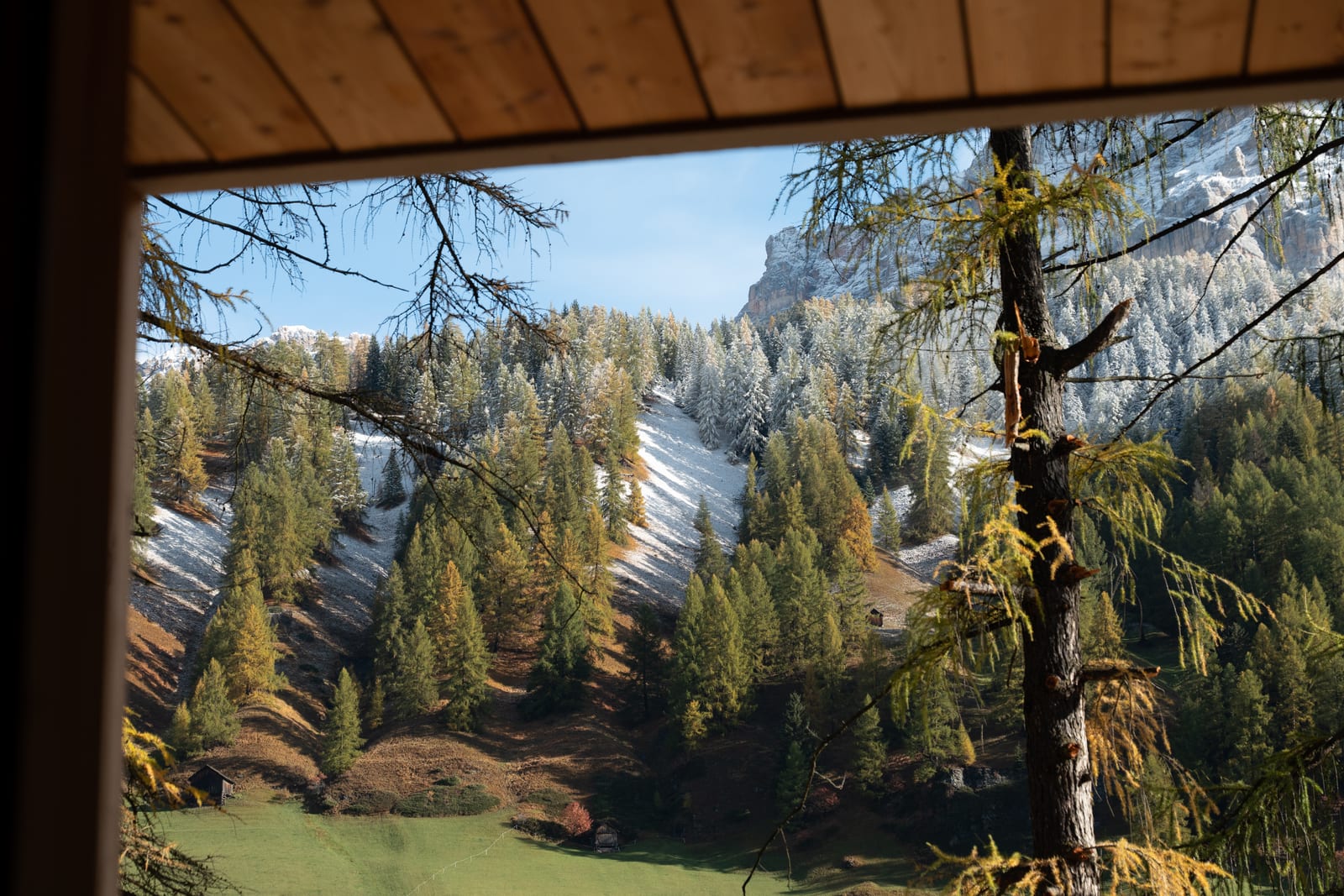 From under a wooden eave: larches, firs and snow-dusted peaks on a clear day. Photograph by Luca Canins.
